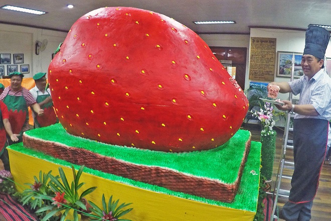 Giant Strawberry Cake | Best Novelty Cake Recipe | Yolanda Gampp – HOW TO  CAKE IT